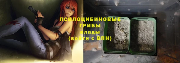 твердый Алексеевка