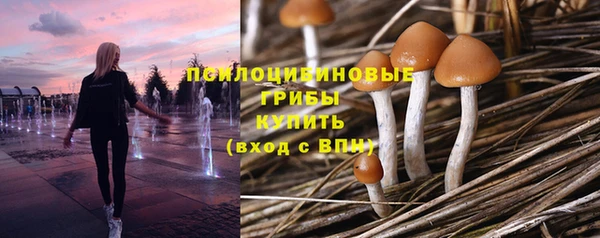 твердый Алексеевка