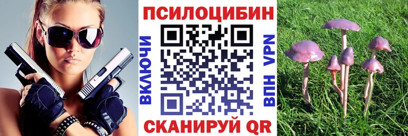 Галлюциногенные грибы MAGIC MUSHROOMS  закладка  Чаплыгин 
